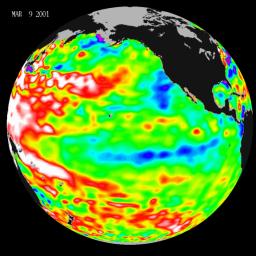 Data taken during a 10-day collection cycle ending March 9, 2001, show that above-normal sea-surface heights and warmer ocean temp. (red and white areas) still blanket the far-western tropical Pacific and much of the north (and south) mid-Pacific.