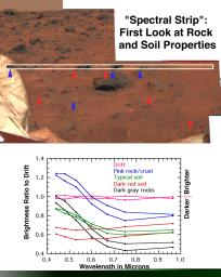 The earliest survey of spectral properties of the rocks and soils surrounding NASA's Mars Pathfinder was acquired as a narrow strip covering the region just beyond the where the rover made its egress from the lander.