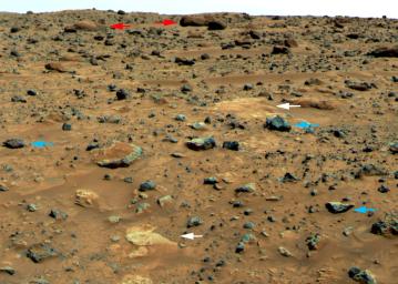 In 1997, NASA's Mars Pathfinder took this picture of three classes of Martian rock: large rounded rocks with weathered coatings, small gray angular rocks lacking weathered coatings, and flat white rocks.
