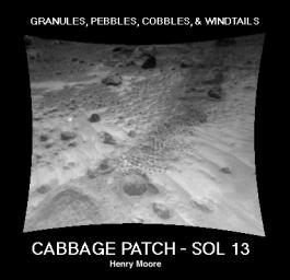 NASA's Sojourner rover image of the 'Cabbage Patch' shows small rounded objects on the surface that are about 3-4 cm across. Sol 1 began on July 4, 1997.