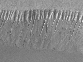 This image acquired by NASA's Mars Global Surveyor on July 14, 1999 shows gully landforms proposed to have been caused by geologically-recent seepage and runoff of liquid water on Mars are found in the most unlikely places.