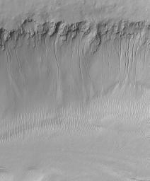 The high resolution view taken by NASA's Mars Global Surveyor on July 23, 2000 crosses one of the troughs of the Sirenum Fossae.