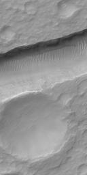 This view captured NASA's Mars Global Surveyor crosses one of the troughs of the Sirenum Fossae on the martian planet.