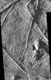 This image of Europa was taken by NASA's Galileo spacecraft under 'low-sun' illumination--the equivalent of taking a picture from a high altitude at sunrise or sunset. Note that in this image the topography of the terrain is emphasized.