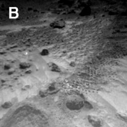 NASA's Sojourner Rover image of rounded 4-cm-wide pebble (lower center) and excavation of cloddy deposit of 'Cabbage Patch' at lower left. Note the bright wind tails of drift material extending from small rocks. Sol 1 began on July 4, 1997.