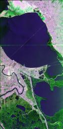 This image of the area surrounding the city of New Orleans, Louisiana in the southeastern United States demonstrates the ability of multi-frequency imaging radar to distinguish different types of land cover.