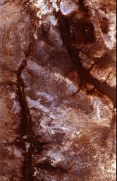 The ability of a sophisticated radar instrument to image large regions of the world from space, using different frequencies that can penetrate dry sand cover, produced the discovery in this image: a previously unknown branch of an ancient river.