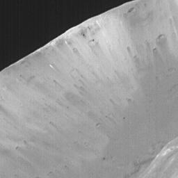 This image acquired on August 19, 1998 by NASA's Mars Global Surveyor shows Phobos, the inner and larger of the two moons of Mars. This image is a close-up of the far wall of the Stickney crater.
