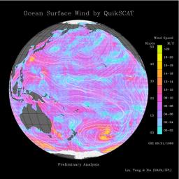 This image shows wind speeds and direction in the Pacific Ocean on August 1, 1999, gathered by NASA's Seawinds radar instrument flying onboard NASA's QuikScat satellite.