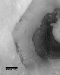 This image from NASA's Mars Global Surveyor was acquired during the Mar's southern spring season on December 29, 1997. A crater wall shows channeling suggestive of fluid seepage.