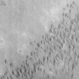 NASA's Mars Global Surveyor acquired this image on June 14, 1998. Shown here is part of the dark surface on the floor of Herschel Basin consisting of a field of sand dunes.