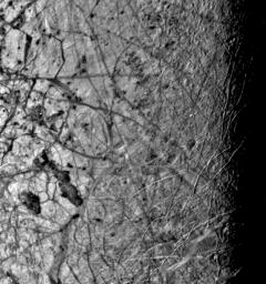 This image of the Jovian moon Europa was taken by NASA's Voyager 2 on July 9, 1979, as the spacecraft passed within 225,000 kilometers. This image was taken along the evening terminator, which best shows the surface topography of complex narrow ridges.