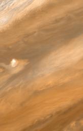 Reconstruction of a plume on Jupiter, photographed on March 1, 1979 by NASA's Voyager 1 spacecraft.
