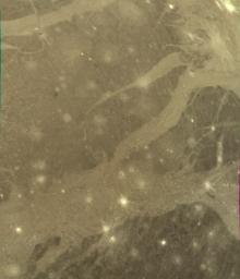 NASA's Voyager 2 took this picture of Ganymede in 1980 as the spacecraft was nearing its encounter with the ice giant.