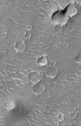 NASA's Mars Global Surveyor shows a wide portion of Isidis Planitia with rocks and boulders on the rims of younger impact craters.