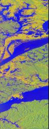 This false-color L-band image of the Manaus region of Brazil was acquired by NASA's Spaceborne Imaging Radar-C and X-Band Synthetic Aperture Radar aboard the space shuttle Endeavour on orbit 46 of the mission.