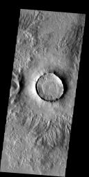Many craters in the northern plains look like the one in this image -- interior filled almost to the rim, narrow and steep ejecta surrounding the rim, little or no remaining distant ejecta on Mars as seen by NASA's Mars Odyssey spacecraft.