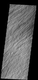 The narrow, channelized lava flows in this image occur on the flank of Olympus Mons on Mars as seen by NASA's Mars Odyssey spacecraft.