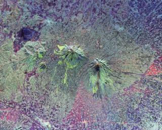 The summits of two large volcanoes in Central Java, Indonesia, Mt. Merbabu and Mt. Merapi, are shown in the center of this radar image from NASA's Spaceborne Imaging Radar-C/X-band Synthetic Aperture Radar.
