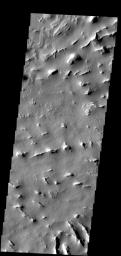 This region of sulci (ridges and valleys) is covered by old sand dunes on Mars as seen by NASA's Mars Odyssey spacecraft.