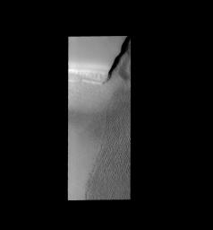 This image shows part of the large dune field (or erg) that exists surrounding the north polar ice cap on Mars as seen by NASA's Mars Odyssey spacecraft.