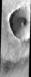 The sand dunes in this image surround the northwestern half of the central peak of this crater on Mars as seen by NASA's Mars Odyssey spacecraft.
