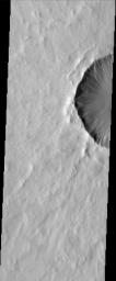 Gullies occur on the rim of this northern plains crater on Mars as seen by NASA's Mars Odyssey spacecraft.