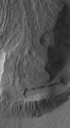 NASA's Mars Global Surveyor shows dust-covered lava flows on the lowermost south flank of Olympus Mons on Mars taken on October 12, 2006. One leveed lava channel disappears into a thick, pitted and cratered dust mantle.