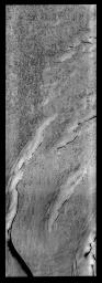 The 'holey' texture of the image captured by NASA's 2001 Mars Odyssey spacecraft of the North Polar cap is called 'swiss-cheese,' while the linear texture at the bottom of the frame is called 'thumbprint terrain.'