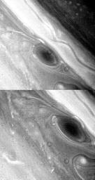 Circulation around a large brown spot in Saturn's atmosphere can be seen in this pair of NASA's Voyager 2 images taken Aug. 23 and 24, 1981, from distances of 2.7 million and 2.3 million kilometers (1.7 million and 1.4 million miles), respectively.