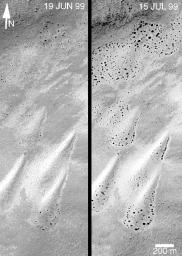 NASA's Mars Global Surveyor shows changes on a set of nearly pear-shaped sand dunes located on the floor of an unnamed crateon Mars featuring dunes as they appeared on June 19, 1999 and July 15, 1999.