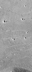 NASA's Mars Global Surveyor shows small cone-shaped structures on lava flows in southern Elysium Planitia, Marte Valles, and northwestern Amazonis Planitia in the northern hemisphere of the red planet Mars.