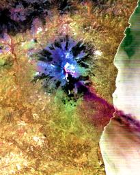 This image, acquired by NASA's Terra satellite on July 29, 2001 shows a sulfur dioxide plume (in purple) drifting over the city of Catania.