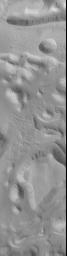 NASA's Mars Global Surveyor shows mesa tops, buttes, and channel floor covered with a thick blanket of wind-eroded, ridged and grooved material in a groovy terrain in Mangala Valles on Mars.
