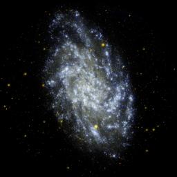 This image from NASA's Galaxy Evolution Explorer shows M33, the Triangulum Galaxy, is a perennial favorite of amateur and professional astronomers alike, due to its orientation and relative proximity to us.
