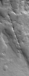 NASA's Mars Global Surveyor shows a dike exhumed by erosion from beneath the cratered terrain near Auqakuh Vallis in northeastern Arabia Terra on Mars.
