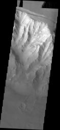 The landslide in the center of this image from NASA's 2001 Mars Odyssey spacecraft occurred in the Melas Chasma region of Valles Marineris on Mars.