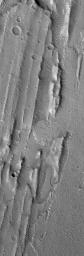 NASA's Mars Global Surveyor shows flow materials among a suite of sharp ridges and grooves on the floor of the vast Kasei Valles system on Mars. The ridges and grooves are much older and are believed to be the result of a giant, catastrophic flood.