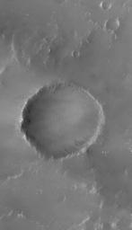 NASA's Mars Global Surveyor shows an old meteor impact crater, somewhat filled with sediment. This crater is located near a larger crater, Newcomb, in far northern Noachis Terra on Mars.