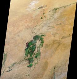 The third largest river in Africa, the Niger, forms an inland delta in central Mali. This image is from NASA's Terra satellite is MISR Mystery Image Quiz #3.