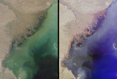 The MISR instrument aboard NASA's Terra spacecraft captured this stereo image of Russia's Volga River, the largest river system in Europe. 3D glasses are necessary to view this image.