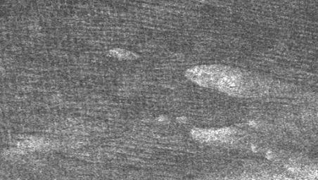 Large areas of this Cassini synthetic aperture radar image of Titan from NASA's Cassini spacecraft are covered by long, dark ridges.