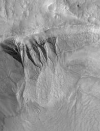 NASA's Mars Global Surveyor shows deep gullies cut into the wall of a south mid-latitude crater on Mars. Erosion has exposed layers in the upper wall of the crater.
