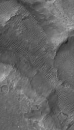 This image from NASA's Mars Global Surveyor shows the floor and walls of a small portion of Nirgal Vallis on Mars. The floor is covered by large windblown ripples.