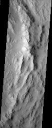 The rugged, arcuate rim of the 90 km crater Reuyl dominates this NASA Mars Odyssey image. Reuyl crater is at the southern edge of a region known to be blanketed in thick dust based on its high albedo (brightness) and low thermal inertia values.