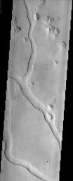 Hebrus Valles is located in the Elysium Planitia region of the northern lowlands of Mars. This image from NASA's Mars Odyssey spacecraft shows three sinuous tributaries of the channel system which carved up the surrounding plains.