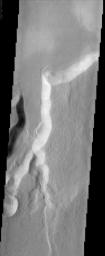 One of the many branches of the Mangala Vallis channel system is seen in this image from NASA's Mars Odyssey spacecraft. The water that likely carved the channels emerged from a huge graben or fracture almost 1000 km to the south.