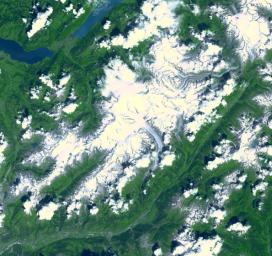 Aletsch Glacier, the largest glacier of Europe, covers more than 120 square kilometers (more than 45 square miles) in southern Switzerland. NASA's Terra satellite captured this image on July 23, 2001.