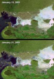 On January 26, 2001, when India's Republic Day is normally celebrated, a devastating earthquake hit the state of Gujarat. These two false-color images were acquired by NASA's Terra spacecraft before and after the event, on January 15 and 31.