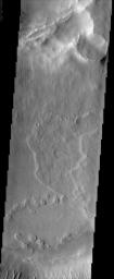 This NASA Mars Odyssey image covers a large area over the summit of Ulysses Patera, one of the many volcanoes that make up the giant Tharsis volcanic province, although Ulysses itself is fairly small in comparison to the other volcanoes in this area.